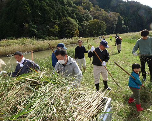 コウノトリの生息域保護活動